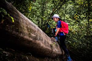 BIB: 
                            <button type="button" onclick="openModal(13525813)" class="btn btn-primary btn-sm float-right btn-popup" data-toggle="modal" data-target=".modal-high-quality">
                        <i class="fas fa-shopping-cart"></i> Add to Cart
                    </button>
                                            <button type="button" onclick="isThisMe(13525813, true)" class="btn btn-success btn-sm float-right btn-popup btn-isme hidden" data-toggle="tooltip" data-placement="bottom" title="นี่คือรูปของคุณใช่ไหม คลิกที่นี่เพื่อเอาเข้าอัลบั้ม">
                        <i class="fas fa-plus"></i> Add to album
                    </button>
                    <button type="button" onclick="isThisMe(13525813, false)" class="btn btn-warning btn-sm float-right btn-popup btn-isnotme hidden">
                        <i class="fas fa-ban"></i> Remove from album
                    </button>