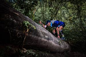 BIB: 
                            <button type="button" onclick="openModal(13522642)" class="btn btn-primary btn-sm float-right btn-popup" data-toggle="modal" data-target=".modal-high-quality">
                        <i class="fas fa-shopping-cart"></i> Add to Cart
                    </button>
                                            <button type="button" onclick="isThisMe(13522642, true)" class="btn btn-success btn-sm float-right btn-popup btn-isme hidden" data-toggle="tooltip" data-placement="bottom" title="นี่คือรูปของคุณใช่ไหม คลิกที่นี่เพื่อเอาเข้าอัลบั้ม">
                        <i class="fas fa-plus"></i> Add to album
                    </button>
                    <button type="button" onclick="isThisMe(13522642, false)" class="btn btn-warning btn-sm float-right btn-popup btn-isnotme hidden">
                        <i class="fas fa-ban"></i> Remove from album
                    </button>