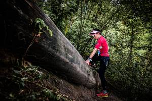 BIB: 
                            <button type="button" onclick="openModal(13523956)" class="btn btn-primary btn-sm float-right btn-popup" data-toggle="modal" data-target=".modal-high-quality">
                        <i class="fas fa-shopping-cart"></i> Add to Cart
                    </button>
                                            <button type="button" onclick="isThisMe(13523956, true)" class="btn btn-success btn-sm float-right btn-popup btn-isme hidden" data-toggle="tooltip" data-placement="bottom" title="นี่คือรูปของคุณใช่ไหม คลิกที่นี่เพื่อเอาเข้าอัลบั้ม">
                        <i class="fas fa-plus"></i> Add to album
                    </button>
                    <button type="button" onclick="isThisMe(13523956, false)" class="btn btn-warning btn-sm float-right btn-popup btn-isnotme hidden">
                        <i class="fas fa-ban"></i> Remove from album
                    </button>