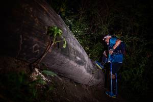 BIB: 
                            <button type="button" onclick="openModal(13518525)" class="btn btn-primary btn-sm float-right btn-popup" data-toggle="modal" data-target=".modal-high-quality">
                        <i class="fas fa-shopping-cart"></i> Add to Cart
                    </button>
                                            <button type="button" onclick="isThisMe(13518525, true)" class="btn btn-success btn-sm float-right btn-popup btn-isme hidden" data-toggle="tooltip" data-placement="bottom" title="นี่คือรูปของคุณใช่ไหม คลิกที่นี่เพื่อเอาเข้าอัลบั้ม">
                        <i class="fas fa-plus"></i> Add to album
                    </button>
                    <button type="button" onclick="isThisMe(13518525, false)" class="btn btn-warning btn-sm float-right btn-popup btn-isnotme hidden">
                        <i class="fas fa-ban"></i> Remove from album
                    </button>