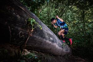 BIB: 
                            <button type="button" onclick="openModal(13519702)" class="btn btn-primary btn-sm float-right btn-popup" data-toggle="modal" data-target=".modal-high-quality">
                        <i class="fas fa-shopping-cart"></i> Add to Cart
                    </button>
                                            <button type="button" onclick="isThisMe(13519702, true)" class="btn btn-success btn-sm float-right btn-popup btn-isme hidden" data-toggle="tooltip" data-placement="bottom" title="นี่คือรูปของคุณใช่ไหม คลิกที่นี่เพื่อเอาเข้าอัลบั้ม">
                        <i class="fas fa-plus"></i> Add to album
                    </button>
                    <button type="button" onclick="isThisMe(13519702, false)" class="btn btn-warning btn-sm float-right btn-popup btn-isnotme hidden">
                        <i class="fas fa-ban"></i> Remove from album
                    </button>