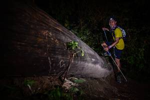 BIB: 
                            <button type="button" onclick="openModal(13517865)" class="btn btn-primary btn-sm float-right btn-popup" data-toggle="modal" data-target=".modal-high-quality">
                        <i class="fas fa-shopping-cart"></i> Add to Cart
                    </button>
                                            <button type="button" onclick="isThisMe(13517865, true)" class="btn btn-success btn-sm float-right btn-popup btn-isme hidden" data-toggle="tooltip" data-placement="bottom" title="นี่คือรูปของคุณใช่ไหม คลิกที่นี่เพื่อเอาเข้าอัลบั้ม">
                        <i class="fas fa-plus"></i> Add to album
                    </button>
                    <button type="button" onclick="isThisMe(13517865, false)" class="btn btn-warning btn-sm float-right btn-popup btn-isnotme hidden">
                        <i class="fas fa-ban"></i> Remove from album
                    </button>