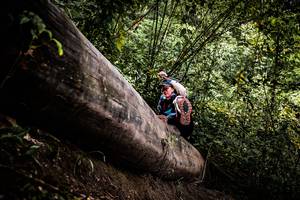 BIB: 
                            <button type="button" onclick="openModal(13525778)" class="btn btn-primary btn-sm float-right btn-popup" data-toggle="modal" data-target=".modal-high-quality">
                        <i class="fas fa-shopping-cart"></i> Add to Cart
                    </button>
                                            <button type="button" onclick="isThisMe(13525778, true)" class="btn btn-success btn-sm float-right btn-popup btn-isme hidden" data-toggle="tooltip" data-placement="bottom" title="นี่คือรูปของคุณใช่ไหม คลิกที่นี่เพื่อเอาเข้าอัลบั้ม">
                        <i class="fas fa-plus"></i> Add to album
                    </button>
                    <button type="button" onclick="isThisMe(13525778, false)" class="btn btn-warning btn-sm float-right btn-popup btn-isnotme hidden">
                        <i class="fas fa-ban"></i> Remove from album
                    </button>