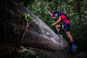 BIB: 
                            <button type="button" onclick="openModal(13519703)" class="btn btn-primary btn-sm float-right btn-popup" data-toggle="modal" data-target=".modal-high-quality">
                        <i class="fas fa-shopping-cart"></i> Add to Cart
                    </button>
                                            <button type="button" onclick="isThisMe(13519703, true)" class="btn btn-success btn-sm float-right btn-popup btn-isme hidden" data-toggle="tooltip" data-placement="bottom" title="นี่คือรูปของคุณใช่ไหม คลิกที่นี่เพื่อเอาเข้าอัลบั้ม">
                        <i class="fas fa-plus"></i> Add to album
                    </button>
                    <button type="button" onclick="isThisMe(13519703, false)" class="btn btn-warning btn-sm float-right btn-popup btn-isnotme hidden">
                        <i class="fas fa-ban"></i> Remove from album
                    </button>