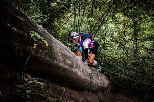 BIB: 
                            <button type="button" onclick="openModal(13523731)" class="btn btn-primary btn-sm float-right btn-popup" data-toggle="modal" data-target=".modal-high-quality">
                        <i class="fas fa-shopping-cart"></i> Add to Cart
                    </button>
                                            <button type="button" onclick="isThisMe(13523731, true)" class="btn btn-success btn-sm float-right btn-popup btn-isme hidden" data-toggle="tooltip" data-placement="bottom" title="นี่คือรูปของคุณใช่ไหม คลิกที่นี่เพื่อเอาเข้าอัลบั้ม">
                        <i class="fas fa-plus"></i> Add to album
                    </button>
                    <button type="button" onclick="isThisMe(13523731, false)" class="btn btn-warning btn-sm float-right btn-popup btn-isnotme hidden">
                        <i class="fas fa-ban"></i> Remove from album
                    </button>