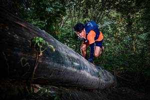 BIB: 
                            <button type="button" onclick="openModal(13519384)" class="btn btn-primary btn-sm float-right btn-popup" data-toggle="modal" data-target=".modal-high-quality">
                        <i class="fas fa-shopping-cart"></i> Add to Cart
                    </button>
                                            <button type="button" onclick="isThisMe(13519384, true)" class="btn btn-success btn-sm float-right btn-popup btn-isme hidden" data-toggle="tooltip" data-placement="bottom" title="นี่คือรูปของคุณใช่ไหม คลิกที่นี่เพื่อเอาเข้าอัลบั้ม">
                        <i class="fas fa-plus"></i> Add to album
                    </button>
                    <button type="button" onclick="isThisMe(13519384, false)" class="btn btn-warning btn-sm float-right btn-popup btn-isnotme hidden">
                        <i class="fas fa-ban"></i> Remove from album
                    </button>