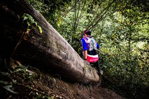 BIB: 
                            <button type="button" onclick="openModal(13525874)" class="btn btn-primary btn-sm float-right btn-popup" data-toggle="modal" data-target=".modal-high-quality">
                        <i class="fas fa-shopping-cart"></i> Add to Cart
                    </button>
                                            <button type="button" onclick="isThisMe(13525874, true)" class="btn btn-success btn-sm float-right btn-popup btn-isme hidden" data-toggle="tooltip" data-placement="bottom" title="นี่คือรูปของคุณใช่ไหม คลิกที่นี่เพื่อเอาเข้าอัลบั้ม">
                        <i class="fas fa-plus"></i> Add to album
                    </button>
                    <button type="button" onclick="isThisMe(13525874, false)" class="btn btn-warning btn-sm float-right btn-popup btn-isnotme hidden">
                        <i class="fas fa-ban"></i> Remove from album
                    </button>