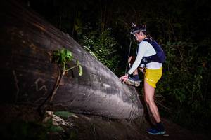 BIB: 
                            <button type="button" onclick="openModal(13518013)" class="btn btn-primary btn-sm float-right btn-popup" data-toggle="modal" data-target=".modal-high-quality">
                        <i class="fas fa-shopping-cart"></i> Add to Cart
                    </button>
                                            <button type="button" onclick="isThisMe(13518013, true)" class="btn btn-success btn-sm float-right btn-popup btn-isme hidden" data-toggle="tooltip" data-placement="bottom" title="นี่คือรูปของคุณใช่ไหม คลิกที่นี่เพื่อเอาเข้าอัลบั้ม">
                        <i class="fas fa-plus"></i> Add to album
                    </button>
                    <button type="button" onclick="isThisMe(13518013, false)" class="btn btn-warning btn-sm float-right btn-popup btn-isnotme hidden">
                        <i class="fas fa-ban"></i> Remove from album
                    </button>