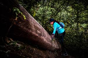 BIB: 
                            <button type="button" onclick="openModal(13525374)" class="btn btn-primary btn-sm float-right btn-popup" data-toggle="modal" data-target=".modal-high-quality">
                        <i class="fas fa-shopping-cart"></i> Add to Cart
                    </button>
                                            <button type="button" onclick="isThisMe(13525374, true)" class="btn btn-success btn-sm float-right btn-popup btn-isme hidden" data-toggle="tooltip" data-placement="bottom" title="นี่คือรูปของคุณใช่ไหม คลิกที่นี่เพื่อเอาเข้าอัลบั้ม">
                        <i class="fas fa-plus"></i> Add to album
                    </button>
                    <button type="button" onclick="isThisMe(13525374, false)" class="btn btn-warning btn-sm float-right btn-popup btn-isnotme hidden">
                        <i class="fas fa-ban"></i> Remove from album
                    </button>