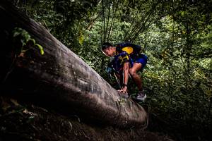 BIB: 
                            <button type="button" onclick="openModal(13525660)" class="btn btn-primary btn-sm float-right btn-popup" data-toggle="modal" data-target=".modal-high-quality">
                        <i class="fas fa-shopping-cart"></i> Add to Cart
                    </button>
                                            <button type="button" onclick="isThisMe(13525660, true)" class="btn btn-success btn-sm float-right btn-popup btn-isme hidden" data-toggle="tooltip" data-placement="bottom" title="นี่คือรูปของคุณใช่ไหม คลิกที่นี่เพื่อเอาเข้าอัลบั้ม">
                        <i class="fas fa-plus"></i> Add to album
                    </button>
                    <button type="button" onclick="isThisMe(13525660, false)" class="btn btn-warning btn-sm float-right btn-popup btn-isnotme hidden">
                        <i class="fas fa-ban"></i> Remove from album
                    </button>