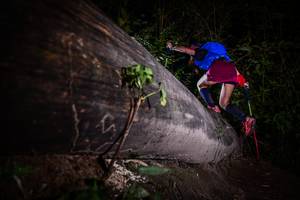 BIB: 
                            <button type="button" onclick="openModal(13517852)" class="btn btn-primary btn-sm float-right btn-popup" data-toggle="modal" data-target=".modal-high-quality">
                        <i class="fas fa-shopping-cart"></i> Add to Cart
                    </button>
                                            <button type="button" onclick="isThisMe(13517852, true)" class="btn btn-success btn-sm float-right btn-popup btn-isme hidden" data-toggle="tooltip" data-placement="bottom" title="นี่คือรูปของคุณใช่ไหม คลิกที่นี่เพื่อเอาเข้าอัลบั้ม">
                        <i class="fas fa-plus"></i> Add to album
                    </button>
                    <button type="button" onclick="isThisMe(13517852, false)" class="btn btn-warning btn-sm float-right btn-popup btn-isnotme hidden">
                        <i class="fas fa-ban"></i> Remove from album
                    </button>