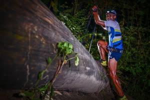 BIB: 
                            <button type="button" onclick="openModal(13517230)" class="btn btn-primary btn-sm float-right btn-popup" data-toggle="modal" data-target=".modal-high-quality">
                        <i class="fas fa-shopping-cart"></i> Add to Cart
                    </button>
                                            <button type="button" onclick="isThisMe(13517230, true)" class="btn btn-success btn-sm float-right btn-popup btn-isme hidden" data-toggle="tooltip" data-placement="bottom" title="นี่คือรูปของคุณใช่ไหม คลิกที่นี่เพื่อเอาเข้าอัลบั้ม">
                        <i class="fas fa-plus"></i> Add to album
                    </button>
                    <button type="button" onclick="isThisMe(13517230, false)" class="btn btn-warning btn-sm float-right btn-popup btn-isnotme hidden">
                        <i class="fas fa-ban"></i> Remove from album
                    </button>