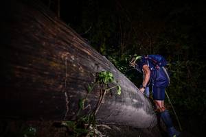 BIB: 
                            <button type="button" onclick="openModal(13517610)" class="btn btn-primary btn-sm float-right btn-popup" data-toggle="modal" data-target=".modal-high-quality">
                        <i class="fas fa-shopping-cart"></i> Add to Cart
                    </button>
                                            <button type="button" onclick="isThisMe(13517610, true)" class="btn btn-success btn-sm float-right btn-popup btn-isme hidden" data-toggle="tooltip" data-placement="bottom" title="นี่คือรูปของคุณใช่ไหม คลิกที่นี่เพื่อเอาเข้าอัลบั้ม">
                        <i class="fas fa-plus"></i> Add to album
                    </button>
                    <button type="button" onclick="isThisMe(13517610, false)" class="btn btn-warning btn-sm float-right btn-popup btn-isnotme hidden">
                        <i class="fas fa-ban"></i> Remove from album
                    </button>