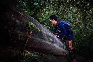 BIB: 
                            <button type="button" onclick="openModal(13519407)" class="btn btn-primary btn-sm float-right btn-popup" data-toggle="modal" data-target=".modal-high-quality">
                        <i class="fas fa-shopping-cart"></i> Add to Cart
                    </button>
                                            <button type="button" onclick="isThisMe(13519407, true)" class="btn btn-success btn-sm float-right btn-popup btn-isme hidden" data-toggle="tooltip" data-placement="bottom" title="นี่คือรูปของคุณใช่ไหม คลิกที่นี่เพื่อเอาเข้าอัลบั้ม">
                        <i class="fas fa-plus"></i> Add to album
                    </button>
                    <button type="button" onclick="isThisMe(13519407, false)" class="btn btn-warning btn-sm float-right btn-popup btn-isnotme hidden">
                        <i class="fas fa-ban"></i> Remove from album
                    </button>