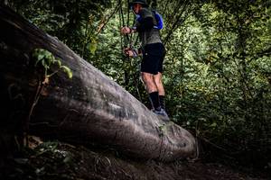 BIB: 
                            <button type="button" onclick="openModal(13522982)" class="btn btn-primary btn-sm float-right btn-popup" data-toggle="modal" data-target=".modal-high-quality">
                        <i class="fas fa-shopping-cart"></i> Add to Cart
                    </button>
                                            <button type="button" onclick="isThisMe(13522982, true)" class="btn btn-success btn-sm float-right btn-popup btn-isme hidden" data-toggle="tooltip" data-placement="bottom" title="นี่คือรูปของคุณใช่ไหม คลิกที่นี่เพื่อเอาเข้าอัลบั้ม">
                        <i class="fas fa-plus"></i> Add to album
                    </button>
                    <button type="button" onclick="isThisMe(13522982, false)" class="btn btn-warning btn-sm float-right btn-popup btn-isnotme hidden">
                        <i class="fas fa-ban"></i> Remove from album
                    </button>