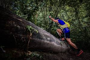 BIB: 
                            <button type="button" onclick="openModal(13522679)" class="btn btn-primary btn-sm float-right btn-popup" data-toggle="modal" data-target=".modal-high-quality">
                        <i class="fas fa-shopping-cart"></i> Add to Cart
                    </button>
                                            <button type="button" onclick="isThisMe(13522679, true)" class="btn btn-success btn-sm float-right btn-popup btn-isme hidden" data-toggle="tooltip" data-placement="bottom" title="นี่คือรูปของคุณใช่ไหม คลิกที่นี่เพื่อเอาเข้าอัลบั้ม">
                        <i class="fas fa-plus"></i> Add to album
                    </button>
                    <button type="button" onclick="isThisMe(13522679, false)" class="btn btn-warning btn-sm float-right btn-popup btn-isnotme hidden">
                        <i class="fas fa-ban"></i> Remove from album
                    </button>