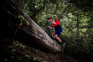 BIB: 
                            <button type="button" onclick="openModal(13525315)" class="btn btn-primary btn-sm float-right btn-popup" data-toggle="modal" data-target=".modal-high-quality">
                        <i class="fas fa-shopping-cart"></i> Add to Cart
                    </button>
                                            <button type="button" onclick="isThisMe(13525315, true)" class="btn btn-success btn-sm float-right btn-popup btn-isme hidden" data-toggle="tooltip" data-placement="bottom" title="นี่คือรูปของคุณใช่ไหม คลิกที่นี่เพื่อเอาเข้าอัลบั้ม">
                        <i class="fas fa-plus"></i> Add to album
                    </button>
                    <button type="button" onclick="isThisMe(13525315, false)" class="btn btn-warning btn-sm float-right btn-popup btn-isnotme hidden">
                        <i class="fas fa-ban"></i> Remove from album
                    </button>