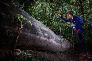 BIB: 
                            <button type="button" onclick="openModal(13519735)" class="btn btn-primary btn-sm float-right btn-popup" data-toggle="modal" data-target=".modal-high-quality">
                        <i class="fas fa-shopping-cart"></i> Add to Cart
                    </button>
                                            <button type="button" onclick="isThisMe(13519735, true)" class="btn btn-success btn-sm float-right btn-popup btn-isme hidden" data-toggle="tooltip" data-placement="bottom" title="นี่คือรูปของคุณใช่ไหม คลิกที่นี่เพื่อเอาเข้าอัลบั้ม">
                        <i class="fas fa-plus"></i> Add to album
                    </button>
                    <button type="button" onclick="isThisMe(13519735, false)" class="btn btn-warning btn-sm float-right btn-popup btn-isnotme hidden">
                        <i class="fas fa-ban"></i> Remove from album
                    </button>