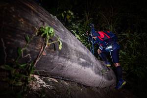 BIB: 
                            <button type="button" onclick="openModal(13517708)" class="btn btn-primary btn-sm float-right btn-popup" data-toggle="modal" data-target=".modal-high-quality">
                        <i class="fas fa-shopping-cart"></i> Add to Cart
                    </button>
                                            <button type="button" onclick="isThisMe(13517708, true)" class="btn btn-success btn-sm float-right btn-popup btn-isme hidden" data-toggle="tooltip" data-placement="bottom" title="นี่คือรูปของคุณใช่ไหม คลิกที่นี่เพื่อเอาเข้าอัลบั้ม">
                        <i class="fas fa-plus"></i> Add to album
                    </button>
                    <button type="button" onclick="isThisMe(13517708, false)" class="btn btn-warning btn-sm float-right btn-popup btn-isnotme hidden">
                        <i class="fas fa-ban"></i> Remove from album
                    </button>