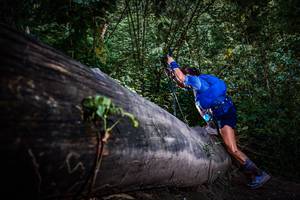 BIB: 
                            <button type="button" onclick="openModal(13519301)" class="btn btn-primary btn-sm float-right btn-popup" data-toggle="modal" data-target=".modal-high-quality">
                        <i class="fas fa-shopping-cart"></i> Add to Cart
                    </button>
                                            <button type="button" onclick="isThisMe(13519301, true)" class="btn btn-success btn-sm float-right btn-popup btn-isme hidden" data-toggle="tooltip" data-placement="bottom" title="นี่คือรูปของคุณใช่ไหม คลิกที่นี่เพื่อเอาเข้าอัลบั้ม">
                        <i class="fas fa-plus"></i> Add to album
                    </button>
                    <button type="button" onclick="isThisMe(13519301, false)" class="btn btn-warning btn-sm float-right btn-popup btn-isnotme hidden">
                        <i class="fas fa-ban"></i> Remove from album
                    </button>