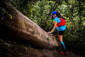 BIB: 
                            <button type="button" onclick="openModal(13525761)" class="btn btn-primary btn-sm float-right btn-popup" data-toggle="modal" data-target=".modal-high-quality">
                        <i class="fas fa-shopping-cart"></i> Add to Cart
                    </button>
                                            <button type="button" onclick="isThisMe(13525761, true)" class="btn btn-success btn-sm float-right btn-popup btn-isme hidden" data-toggle="tooltip" data-placement="bottom" title="นี่คือรูปของคุณใช่ไหม คลิกที่นี่เพื่อเอาเข้าอัลบั้ม">
                        <i class="fas fa-plus"></i> Add to album
                    </button>
                    <button type="button" onclick="isThisMe(13525761, false)" class="btn btn-warning btn-sm float-right btn-popup btn-isnotme hidden">
                        <i class="fas fa-ban"></i> Remove from album
                    </button>