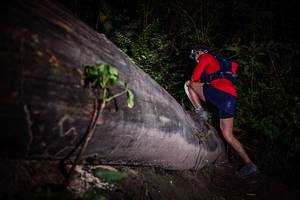 BIB: 
                            <button type="button" onclick="openModal(13517799)" class="btn btn-primary btn-sm float-right btn-popup" data-toggle="modal" data-target=".modal-high-quality">
                        <i class="fas fa-shopping-cart"></i> Add to Cart
                    </button>
                                            <button type="button" onclick="isThisMe(13517799, true)" class="btn btn-success btn-sm float-right btn-popup btn-isme hidden" data-toggle="tooltip" data-placement="bottom" title="นี่คือรูปของคุณใช่ไหม คลิกที่นี่เพื่อเอาเข้าอัลบั้ม">
                        <i class="fas fa-plus"></i> Add to album
                    </button>
                    <button type="button" onclick="isThisMe(13517799, false)" class="btn btn-warning btn-sm float-right btn-popup btn-isnotme hidden">
                        <i class="fas fa-ban"></i> Remove from album
                    </button>