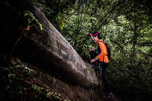 BIB: 
                            <button type="button" onclick="openModal(13525295)" class="btn btn-primary btn-sm float-right btn-popup" data-toggle="modal" data-target=".modal-high-quality">
                        <i class="fas fa-shopping-cart"></i> Add to Cart
                    </button>
                                            <button type="button" onclick="isThisMe(13525295, true)" class="btn btn-success btn-sm float-right btn-popup btn-isme hidden" data-toggle="tooltip" data-placement="bottom" title="นี่คือรูปของคุณใช่ไหม คลิกที่นี่เพื่อเอาเข้าอัลบั้ม">
                        <i class="fas fa-plus"></i> Add to album
                    </button>
                    <button type="button" onclick="isThisMe(13525295, false)" class="btn btn-warning btn-sm float-right btn-popup btn-isnotme hidden">
                        <i class="fas fa-ban"></i> Remove from album
                    </button>