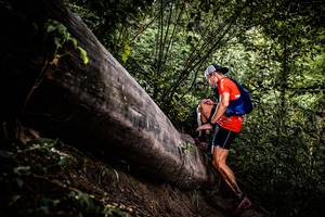 BIB: 
                            <button type="button" onclick="openModal(13525216)" class="btn btn-primary btn-sm float-right btn-popup" data-toggle="modal" data-target=".modal-high-quality">
                        <i class="fas fa-shopping-cart"></i> Add to Cart
                    </button>
                                            <button type="button" onclick="isThisMe(13525216, true)" class="btn btn-success btn-sm float-right btn-popup btn-isme hidden" data-toggle="tooltip" data-placement="bottom" title="นี่คือรูปของคุณใช่ไหม คลิกที่นี่เพื่อเอาเข้าอัลบั้ม">
                        <i class="fas fa-plus"></i> Add to album
                    </button>
                    <button type="button" onclick="isThisMe(13525216, false)" class="btn btn-warning btn-sm float-right btn-popup btn-isnotme hidden">
                        <i class="fas fa-ban"></i> Remove from album
                    </button>