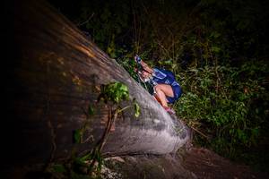 BIB: 
                            <button type="button" onclick="openModal(13517345)" class="btn btn-primary btn-sm float-right btn-popup" data-toggle="modal" data-target=".modal-high-quality">
                        <i class="fas fa-shopping-cart"></i> Add to Cart
                    </button>
                                            <button type="button" onclick="isThisMe(13517345, true)" class="btn btn-success btn-sm float-right btn-popup btn-isme hidden" data-toggle="tooltip" data-placement="bottom" title="นี่คือรูปของคุณใช่ไหม คลิกที่นี่เพื่อเอาเข้าอัลบั้ม">
                        <i class="fas fa-plus"></i> Add to album
                    </button>
                    <button type="button" onclick="isThisMe(13517345, false)" class="btn btn-warning btn-sm float-right btn-popup btn-isnotme hidden">
                        <i class="fas fa-ban"></i> Remove from album
                    </button>