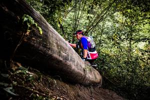 BIB: 
                            <button type="button" onclick="openModal(13525879)" class="btn btn-primary btn-sm float-right btn-popup" data-toggle="modal" data-target=".modal-high-quality">
                        <i class="fas fa-shopping-cart"></i> Add to Cart
                    </button>
                                            <button type="button" onclick="isThisMe(13525879, true)" class="btn btn-success btn-sm float-right btn-popup btn-isme hidden" data-toggle="tooltip" data-placement="bottom" title="นี่คือรูปของคุณใช่ไหม คลิกที่นี่เพื่อเอาเข้าอัลบั้ม">
                        <i class="fas fa-plus"></i> Add to album
                    </button>
                    <button type="button" onclick="isThisMe(13525879, false)" class="btn btn-warning btn-sm float-right btn-popup btn-isnotme hidden">
                        <i class="fas fa-ban"></i> Remove from album
                    </button>