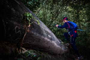 BIB: 
                            <button type="button" onclick="openModal(13519674)" class="btn btn-primary btn-sm float-right btn-popup" data-toggle="modal" data-target=".modal-high-quality">
                        <i class="fas fa-shopping-cart"></i> Add to Cart
                    </button>
                                            <button type="button" onclick="isThisMe(13519674, true)" class="btn btn-success btn-sm float-right btn-popup btn-isme hidden" data-toggle="tooltip" data-placement="bottom" title="นี่คือรูปของคุณใช่ไหม คลิกที่นี่เพื่อเอาเข้าอัลบั้ม">
                        <i class="fas fa-plus"></i> Add to album
                    </button>
                    <button type="button" onclick="isThisMe(13519674, false)" class="btn btn-warning btn-sm float-right btn-popup btn-isnotme hidden">
                        <i class="fas fa-ban"></i> Remove from album
                    </button>