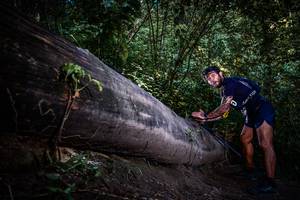 BIB: 
                            <button type="button" onclick="openModal(13519534)" class="btn btn-primary btn-sm float-right btn-popup" data-toggle="modal" data-target=".modal-high-quality">
                        <i class="fas fa-shopping-cart"></i> Add to Cart
                    </button>
                                            <button type="button" onclick="isThisMe(13519534, true)" class="btn btn-success btn-sm float-right btn-popup btn-isme hidden" data-toggle="tooltip" data-placement="bottom" title="นี่คือรูปของคุณใช่ไหม คลิกที่นี่เพื่อเอาเข้าอัลบั้ม">
                        <i class="fas fa-plus"></i> Add to album
                    </button>
                    <button type="button" onclick="isThisMe(13519534, false)" class="btn btn-warning btn-sm float-right btn-popup btn-isnotme hidden">
                        <i class="fas fa-ban"></i> Remove from album
                    </button>