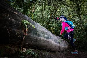 BIB: 
                            <button type="button" onclick="openModal(13520061)" class="btn btn-primary btn-sm float-right btn-popup" data-toggle="modal" data-target=".modal-high-quality">
                        <i class="fas fa-shopping-cart"></i> Add to Cart
                    </button>
                                            <button type="button" onclick="isThisMe(13520061, true)" class="btn btn-success btn-sm float-right btn-popup btn-isme hidden" data-toggle="tooltip" data-placement="bottom" title="นี่คือรูปของคุณใช่ไหม คลิกที่นี่เพื่อเอาเข้าอัลบั้ม">
                        <i class="fas fa-plus"></i> Add to album
                    </button>
                    <button type="button" onclick="isThisMe(13520061, false)" class="btn btn-warning btn-sm float-right btn-popup btn-isnotme hidden">
                        <i class="fas fa-ban"></i> Remove from album
                    </button>