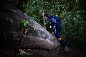 BIB: 
                            <button type="button" onclick="openModal(13519311)" class="btn btn-primary btn-sm float-right btn-popup" data-toggle="modal" data-target=".modal-high-quality">
                        <i class="fas fa-shopping-cart"></i> Add to Cart
                    </button>
                                            <button type="button" onclick="isThisMe(13519311, true)" class="btn btn-success btn-sm float-right btn-popup btn-isme hidden" data-toggle="tooltip" data-placement="bottom" title="นี่คือรูปของคุณใช่ไหม คลิกที่นี่เพื่อเอาเข้าอัลบั้ม">
                        <i class="fas fa-plus"></i> Add to album
                    </button>
                    <button type="button" onclick="isThisMe(13519311, false)" class="btn btn-warning btn-sm float-right btn-popup btn-isnotme hidden">
                        <i class="fas fa-ban"></i> Remove from album
                    </button>