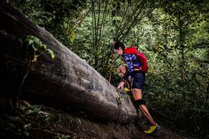 BIB: 
                            <button type="button" onclick="openModal(13523697)" class="btn btn-primary btn-sm float-right btn-popup" data-toggle="modal" data-target=".modal-high-quality">
                        <i class="fas fa-shopping-cart"></i> Add to Cart
                    </button>
                                            <button type="button" onclick="isThisMe(13523697, true)" class="btn btn-success btn-sm float-right btn-popup btn-isme hidden" data-toggle="tooltip" data-placement="bottom" title="นี่คือรูปของคุณใช่ไหม คลิกที่นี่เพื่อเอาเข้าอัลบั้ม">
                        <i class="fas fa-plus"></i> Add to album
                    </button>
                    <button type="button" onclick="isThisMe(13523697, false)" class="btn btn-warning btn-sm float-right btn-popup btn-isnotme hidden">
                        <i class="fas fa-ban"></i> Remove from album
                    </button>