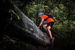 BIB: 
                            <button type="button" onclick="openModal(13525483)" class="btn btn-primary btn-sm float-right btn-popup" data-toggle="modal" data-target=".modal-high-quality">
                        <i class="fas fa-shopping-cart"></i> Add to Cart
                    </button>
                                            <button type="button" onclick="isThisMe(13525483, true)" class="btn btn-success btn-sm float-right btn-popup btn-isme hidden" data-toggle="tooltip" data-placement="bottom" title="นี่คือรูปของคุณใช่ไหม คลิกที่นี่เพื่อเอาเข้าอัลบั้ม">
                        <i class="fas fa-plus"></i> Add to album
                    </button>
                    <button type="button" onclick="isThisMe(13525483, false)" class="btn btn-warning btn-sm float-right btn-popup btn-isnotme hidden">
                        <i class="fas fa-ban"></i> Remove from album
                    </button>