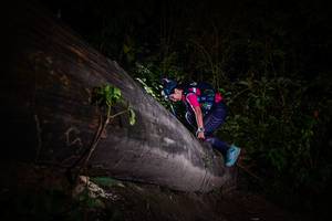 BIB: 
                            <button type="button" onclick="openModal(13518027)" class="btn btn-primary btn-sm float-right btn-popup" data-toggle="modal" data-target=".modal-high-quality">
                        <i class="fas fa-shopping-cart"></i> Add to Cart
                    </button>
                                            <button type="button" onclick="isThisMe(13518027, true)" class="btn btn-success btn-sm float-right btn-popup btn-isme hidden" data-toggle="tooltip" data-placement="bottom" title="นี่คือรูปของคุณใช่ไหม คลิกที่นี่เพื่อเอาเข้าอัลบั้ม">
                        <i class="fas fa-plus"></i> Add to album
                    </button>
                    <button type="button" onclick="isThisMe(13518027, false)" class="btn btn-warning btn-sm float-right btn-popup btn-isnotme hidden">
                        <i class="fas fa-ban"></i> Remove from album
                    </button>