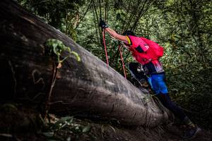 BIB: 
                            <button type="button" onclick="openModal(13522885)" class="btn btn-primary btn-sm float-right btn-popup" data-toggle="modal" data-target=".modal-high-quality">
                        <i class="fas fa-shopping-cart"></i> Add to Cart
                    </button>
                                            <button type="button" onclick="isThisMe(13522885, true)" class="btn btn-success btn-sm float-right btn-popup btn-isme hidden" data-toggle="tooltip" data-placement="bottom" title="นี่คือรูปของคุณใช่ไหม คลิกที่นี่เพื่อเอาเข้าอัลบั้ม">
                        <i class="fas fa-plus"></i> Add to album
                    </button>
                    <button type="button" onclick="isThisMe(13522885, false)" class="btn btn-warning btn-sm float-right btn-popup btn-isnotme hidden">
                        <i class="fas fa-ban"></i> Remove from album
                    </button>