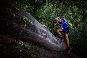 BIB: 
                            <button type="button" onclick="openModal(13519580)" class="btn btn-primary btn-sm float-right btn-popup" data-toggle="modal" data-target=".modal-high-quality">
                        <i class="fas fa-shopping-cart"></i> Add to Cart
                    </button>
                                            <button type="button" onclick="isThisMe(13519580, true)" class="btn btn-success btn-sm float-right btn-popup btn-isme hidden" data-toggle="tooltip" data-placement="bottom" title="นี่คือรูปของคุณใช่ไหม คลิกที่นี่เพื่อเอาเข้าอัลบั้ม">
                        <i class="fas fa-plus"></i> Add to album
                    </button>
                    <button type="button" onclick="isThisMe(13519580, false)" class="btn btn-warning btn-sm float-right btn-popup btn-isnotme hidden">
                        <i class="fas fa-ban"></i> Remove from album
                    </button>