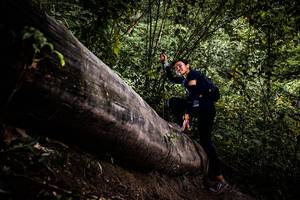 BIB: 
                            <button type="button" onclick="openModal(13525662)" class="btn btn-primary btn-sm float-right btn-popup" data-toggle="modal" data-target=".modal-high-quality">
                        <i class="fas fa-shopping-cart"></i> Add to Cart
                    </button>
                                            <button type="button" onclick="isThisMe(13525662, true)" class="btn btn-success btn-sm float-right btn-popup btn-isme hidden" data-toggle="tooltip" data-placement="bottom" title="นี่คือรูปของคุณใช่ไหม คลิกที่นี่เพื่อเอาเข้าอัลบั้ม">
                        <i class="fas fa-plus"></i> Add to album
                    </button>
                    <button type="button" onclick="isThisMe(13525662, false)" class="btn btn-warning btn-sm float-right btn-popup btn-isnotme hidden">
                        <i class="fas fa-ban"></i> Remove from album
                    </button>