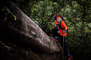 BIB: 
                            <button type="button" onclick="openModal(13525583)" class="btn btn-primary btn-sm float-right btn-popup" data-toggle="modal" data-target=".modal-high-quality">
                        <i class="fas fa-shopping-cart"></i> Add to Cart
                    </button>
                                            <button type="button" onclick="isThisMe(13525583, true)" class="btn btn-success btn-sm float-right btn-popup btn-isme hidden" data-toggle="tooltip" data-placement="bottom" title="นี่คือรูปของคุณใช่ไหม คลิกที่นี่เพื่อเอาเข้าอัลบั้ม">
                        <i class="fas fa-plus"></i> Add to album
                    </button>
                    <button type="button" onclick="isThisMe(13525583, false)" class="btn btn-warning btn-sm float-right btn-popup btn-isnotme hidden">
                        <i class="fas fa-ban"></i> Remove from album
                    </button>