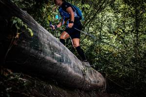 BIB: 
                            <button type="button" onclick="openModal(13523488)" class="btn btn-primary btn-sm float-right btn-popup" data-toggle="modal" data-target=".modal-high-quality">
                        <i class="fas fa-shopping-cart"></i> Add to Cart
                    </button>
                                            <button type="button" onclick="isThisMe(13523488, true)" class="btn btn-success btn-sm float-right btn-popup btn-isme hidden" data-toggle="tooltip" data-placement="bottom" title="นี่คือรูปของคุณใช่ไหม คลิกที่นี่เพื่อเอาเข้าอัลบั้ม">
                        <i class="fas fa-plus"></i> Add to album
                    </button>
                    <button type="button" onclick="isThisMe(13523488, false)" class="btn btn-warning btn-sm float-right btn-popup btn-isnotme hidden">
                        <i class="fas fa-ban"></i> Remove from album
                    </button>