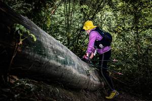 BIB: 
                            <button type="button" onclick="openModal(13522966)" class="btn btn-primary btn-sm float-right btn-popup" data-toggle="modal" data-target=".modal-high-quality">
                        <i class="fas fa-shopping-cart"></i> Add to Cart
                    </button>
                                            <button type="button" onclick="isThisMe(13522966, true)" class="btn btn-success btn-sm float-right btn-popup btn-isme hidden" data-toggle="tooltip" data-placement="bottom" title="นี่คือรูปของคุณใช่ไหม คลิกที่นี่เพื่อเอาเข้าอัลบั้ม">
                        <i class="fas fa-plus"></i> Add to album
                    </button>
                    <button type="button" onclick="isThisMe(13522966, false)" class="btn btn-warning btn-sm float-right btn-popup btn-isnotme hidden">
                        <i class="fas fa-ban"></i> Remove from album
                    </button>