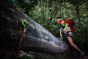 BIB: 
                            <button type="button" onclick="openModal(13519749)" class="btn btn-primary btn-sm float-right btn-popup" data-toggle="modal" data-target=".modal-high-quality">
                        <i class="fas fa-shopping-cart"></i> Add to Cart
                    </button>
                                            <button type="button" onclick="isThisMe(13519749, true)" class="btn btn-success btn-sm float-right btn-popup btn-isme hidden" data-toggle="tooltip" data-placement="bottom" title="นี่คือรูปของคุณใช่ไหม คลิกที่นี่เพื่อเอาเข้าอัลบั้ม">
                        <i class="fas fa-plus"></i> Add to album
                    </button>
                    <button type="button" onclick="isThisMe(13519749, false)" class="btn btn-warning btn-sm float-right btn-popup btn-isnotme hidden">
                        <i class="fas fa-ban"></i> Remove from album
                    </button>