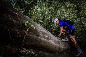 BIB: 
                            <button type="button" onclick="openModal(13522644)" class="btn btn-primary btn-sm float-right btn-popup" data-toggle="modal" data-target=".modal-high-quality">
                        <i class="fas fa-shopping-cart"></i> Add to Cart
                    </button>
                                            <button type="button" onclick="isThisMe(13522644, true)" class="btn btn-success btn-sm float-right btn-popup btn-isme hidden" data-toggle="tooltip" data-placement="bottom" title="นี่คือรูปของคุณใช่ไหม คลิกที่นี่เพื่อเอาเข้าอัลบั้ม">
                        <i class="fas fa-plus"></i> Add to album
                    </button>
                    <button type="button" onclick="isThisMe(13522644, false)" class="btn btn-warning btn-sm float-right btn-popup btn-isnotme hidden">
                        <i class="fas fa-ban"></i> Remove from album
                    </button>