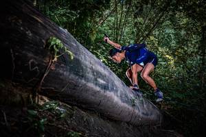 BIB: 
                            <button type="button" onclick="openModal(13519608)" class="btn btn-primary btn-sm float-right btn-popup" data-toggle="modal" data-target=".modal-high-quality">
                        <i class="fas fa-shopping-cart"></i> Add to Cart
                    </button>
                                            <button type="button" onclick="isThisMe(13519608, true)" class="btn btn-success btn-sm float-right btn-popup btn-isme hidden" data-toggle="tooltip" data-placement="bottom" title="นี่คือรูปของคุณใช่ไหม คลิกที่นี่เพื่อเอาเข้าอัลบั้ม">
                        <i class="fas fa-plus"></i> Add to album
                    </button>
                    <button type="button" onclick="isThisMe(13519608, false)" class="btn btn-warning btn-sm float-right btn-popup btn-isnotme hidden">
                        <i class="fas fa-ban"></i> Remove from album
                    </button>