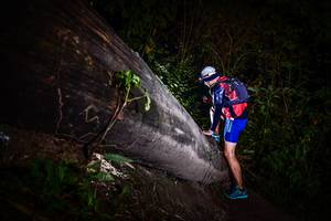 BIB: 
                            <button type="button" onclick="openModal(13518796)" class="btn btn-primary btn-sm float-right btn-popup" data-toggle="modal" data-target=".modal-high-quality">
                        <i class="fas fa-shopping-cart"></i> Add to Cart
                    </button>
                                            <button type="button" onclick="isThisMe(13518796, true)" class="btn btn-success btn-sm float-right btn-popup btn-isme hidden" data-toggle="tooltip" data-placement="bottom" title="นี่คือรูปของคุณใช่ไหม คลิกที่นี่เพื่อเอาเข้าอัลบั้ม">
                        <i class="fas fa-plus"></i> Add to album
                    </button>
                    <button type="button" onclick="isThisMe(13518796, false)" class="btn btn-warning btn-sm float-right btn-popup btn-isnotme hidden">
                        <i class="fas fa-ban"></i> Remove from album
                    </button>