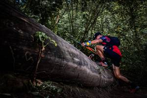 BIB: 
                            <button type="button" onclick="openModal(13522804)" class="btn btn-primary btn-sm float-right btn-popup" data-toggle="modal" data-target=".modal-high-quality">
                        <i class="fas fa-shopping-cart"></i> Add to Cart
                    </button>
                                            <button type="button" onclick="isThisMe(13522804, true)" class="btn btn-success btn-sm float-right btn-popup btn-isme hidden" data-toggle="tooltip" data-placement="bottom" title="นี่คือรูปของคุณใช่ไหม คลิกที่นี่เพื่อเอาเข้าอัลบั้ม">
                        <i class="fas fa-plus"></i> Add to album
                    </button>
                    <button type="button" onclick="isThisMe(13522804, false)" class="btn btn-warning btn-sm float-right btn-popup btn-isnotme hidden">
                        <i class="fas fa-ban"></i> Remove from album
                    </button>