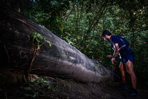 BIB: 
                            <button type="button" onclick="openModal(13519535)" class="btn btn-primary btn-sm float-right btn-popup" data-toggle="modal" data-target=".modal-high-quality">
                        <i class="fas fa-shopping-cart"></i> Add to Cart
                    </button>
                                            <button type="button" onclick="isThisMe(13519535, true)" class="btn btn-success btn-sm float-right btn-popup btn-isme hidden" data-toggle="tooltip" data-placement="bottom" title="นี่คือรูปของคุณใช่ไหม คลิกที่นี่เพื่อเอาเข้าอัลบั้ม">
                        <i class="fas fa-plus"></i> Add to album
                    </button>
                    <button type="button" onclick="isThisMe(13519535, false)" class="btn btn-warning btn-sm float-right btn-popup btn-isnotme hidden">
                        <i class="fas fa-ban"></i> Remove from album
                    </button>