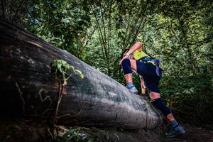 BIB: 
                            <button type="button" onclick="openModal(13519970)" class="btn btn-primary btn-sm float-right btn-popup" data-toggle="modal" data-target=".modal-high-quality">
                        <i class="fas fa-shopping-cart"></i> Add to Cart
                    </button>
                                            <button type="button" onclick="isThisMe(13519970, true)" class="btn btn-success btn-sm float-right btn-popup btn-isme hidden" data-toggle="tooltip" data-placement="bottom" title="นี่คือรูปของคุณใช่ไหม คลิกที่นี่เพื่อเอาเข้าอัลบั้ม">
                        <i class="fas fa-plus"></i> Add to album
                    </button>
                    <button type="button" onclick="isThisMe(13519970, false)" class="btn btn-warning btn-sm float-right btn-popup btn-isnotme hidden">
                        <i class="fas fa-ban"></i> Remove from album
                    </button>